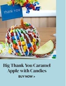 Big Thank You Caramel Apple with Candies