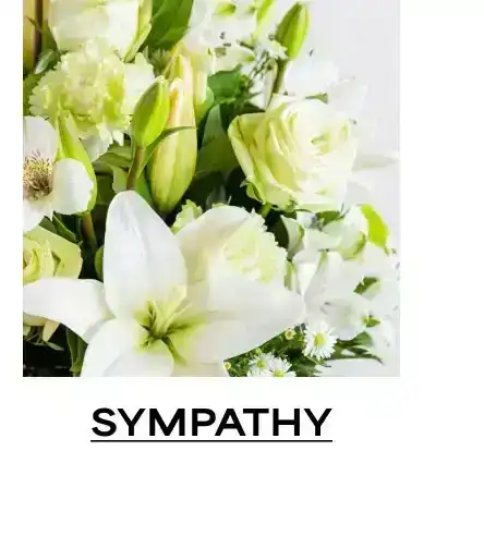 Sympathy