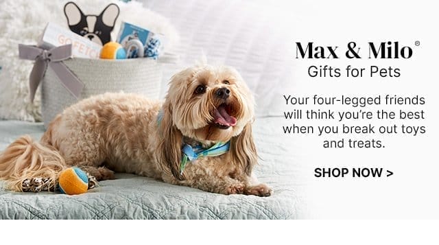 Max & Milo® Gifts for Pets - Your four-legged friends will think you’re the best when you break out toys and treats.