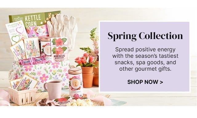 Spring Collection - Spread positive energy with the season’s tastiest snacks, spa goods, and other gourmet gifts.