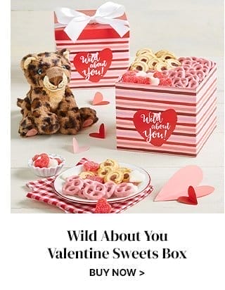 Wild About You Valentine Sweets Box