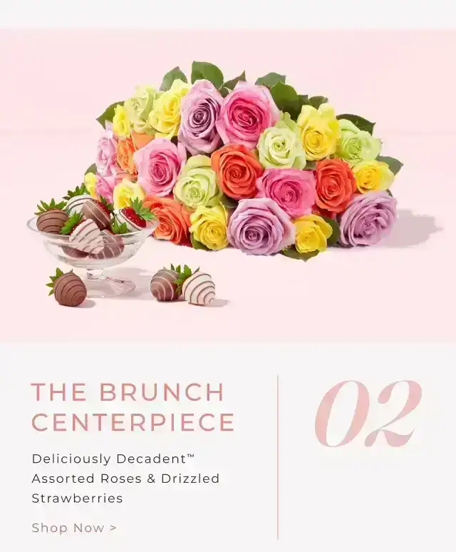 THE BRUNCH CENTERPIECE