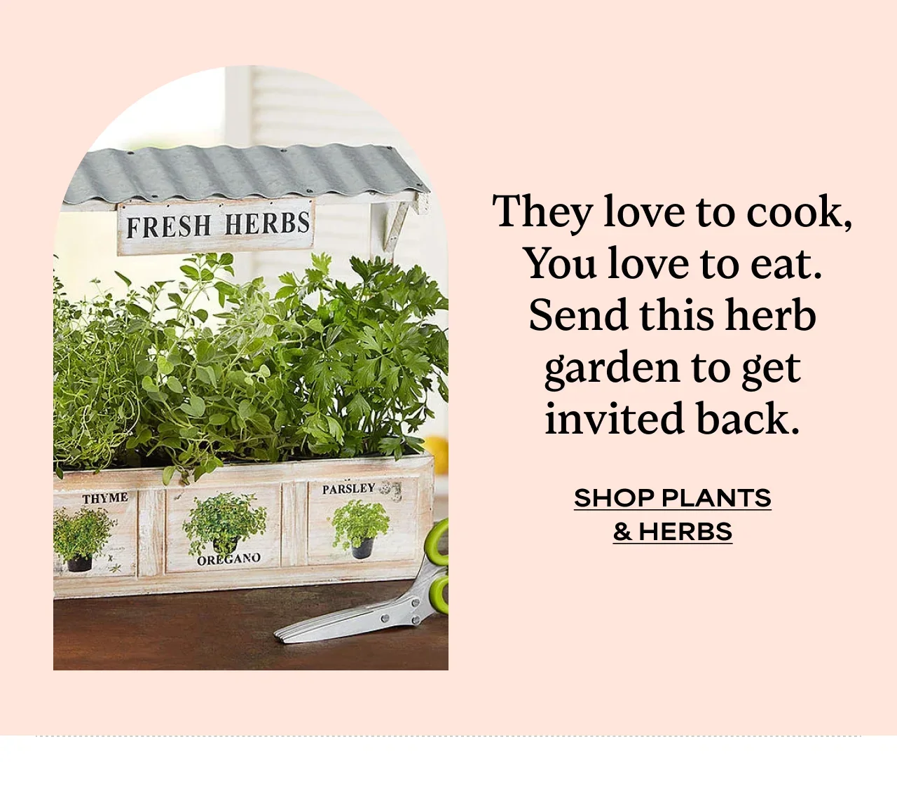 SHOP PLANTS AND HERBS