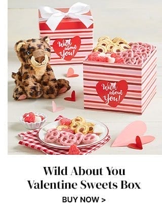 Wild About You Valentine Sweets Box