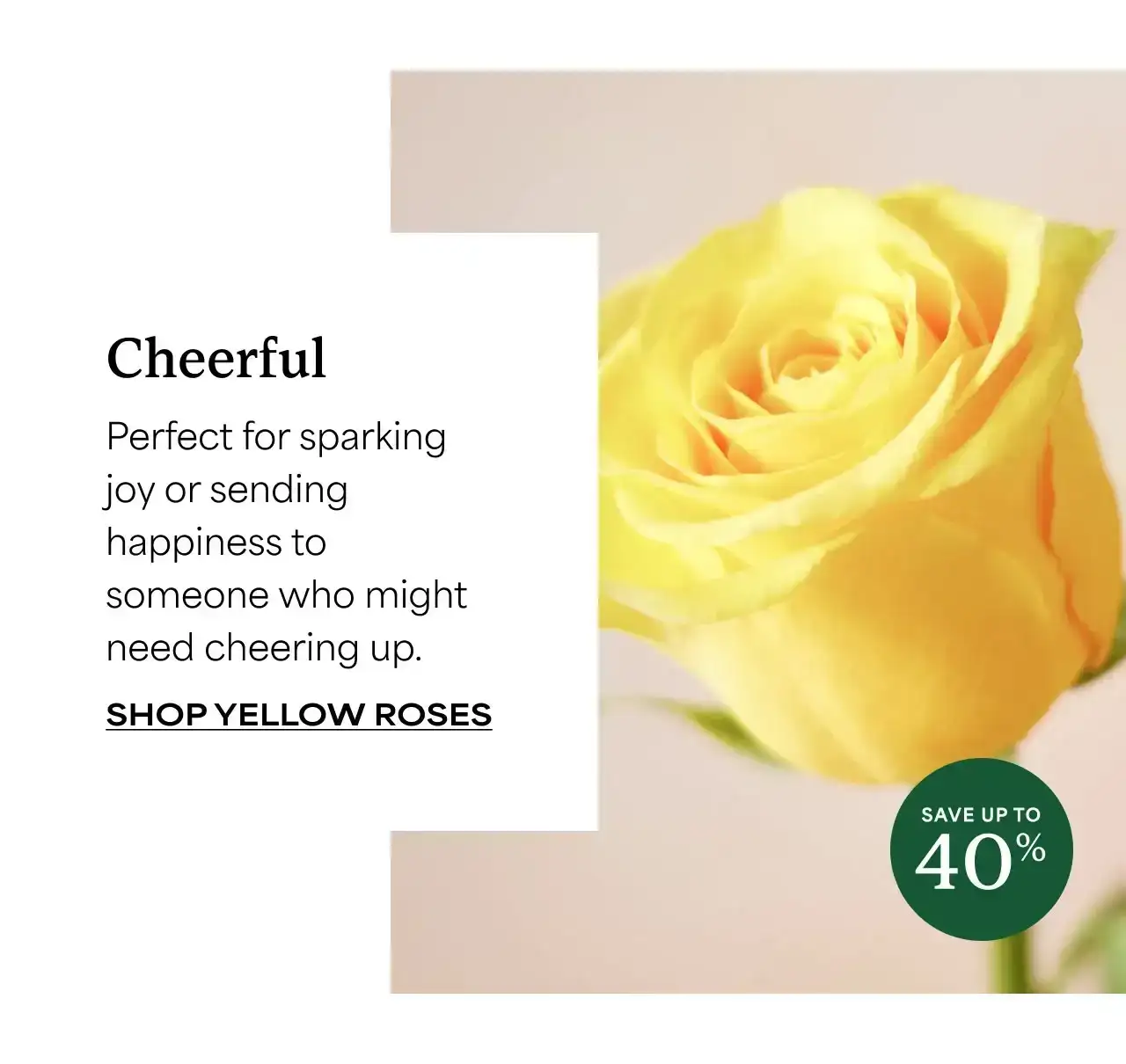 SHOP YELLOW ROSES