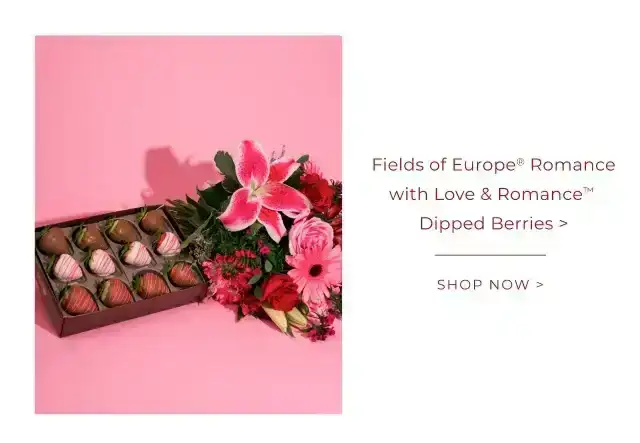 FIELDS OF EUROPE ROMANCE WITH LOVE & ROMANCE DIPPED BERRIES