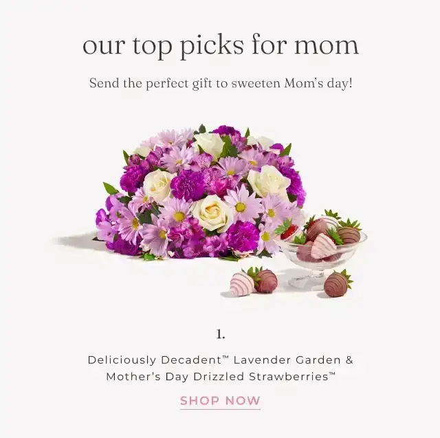 SHOP NEW MOMS