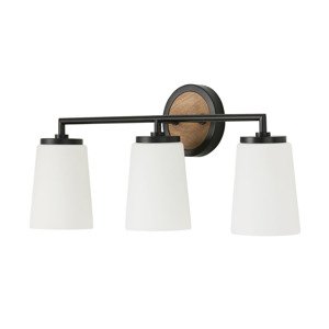 Image of Capital Lighting Fixture Company Jonah Bath Vanity Light