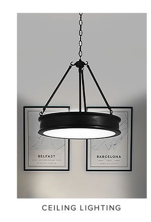 Discover Ceiling Lighting by Minka Lavery