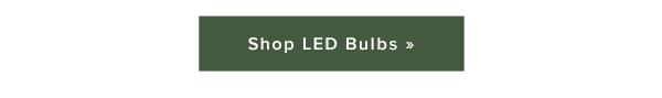 Shop LED Bulbs