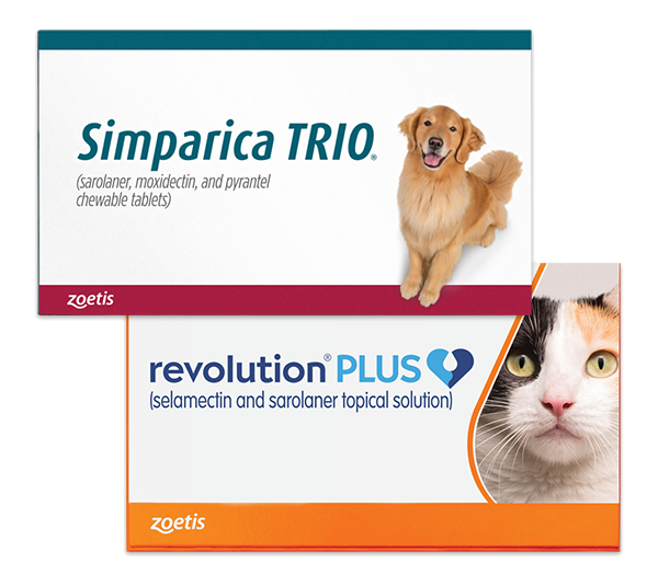 50% off Flea & Tick Protection