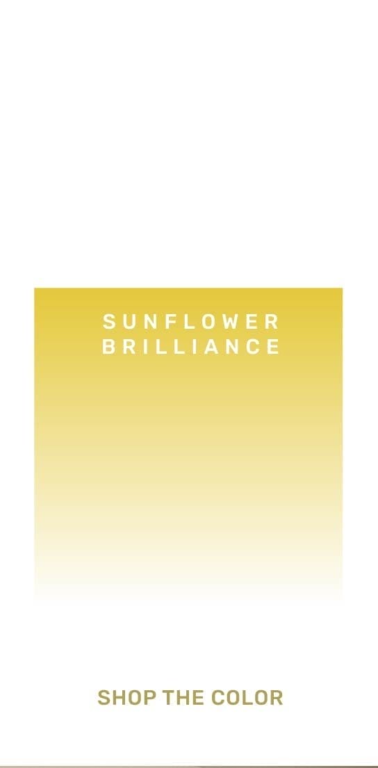 Sunflower Brilliance