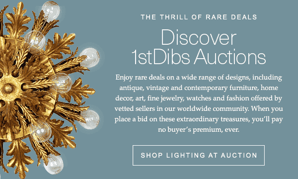 SHOP LIGHTING AT AUCTIONS