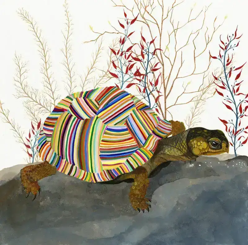 Image of The Tortoise