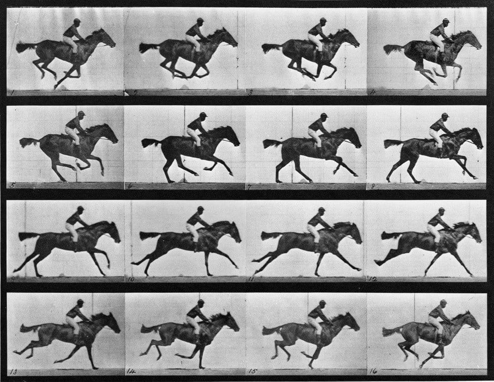 Image of Animal Locomotion: Plate 626 (Galloping Horse)