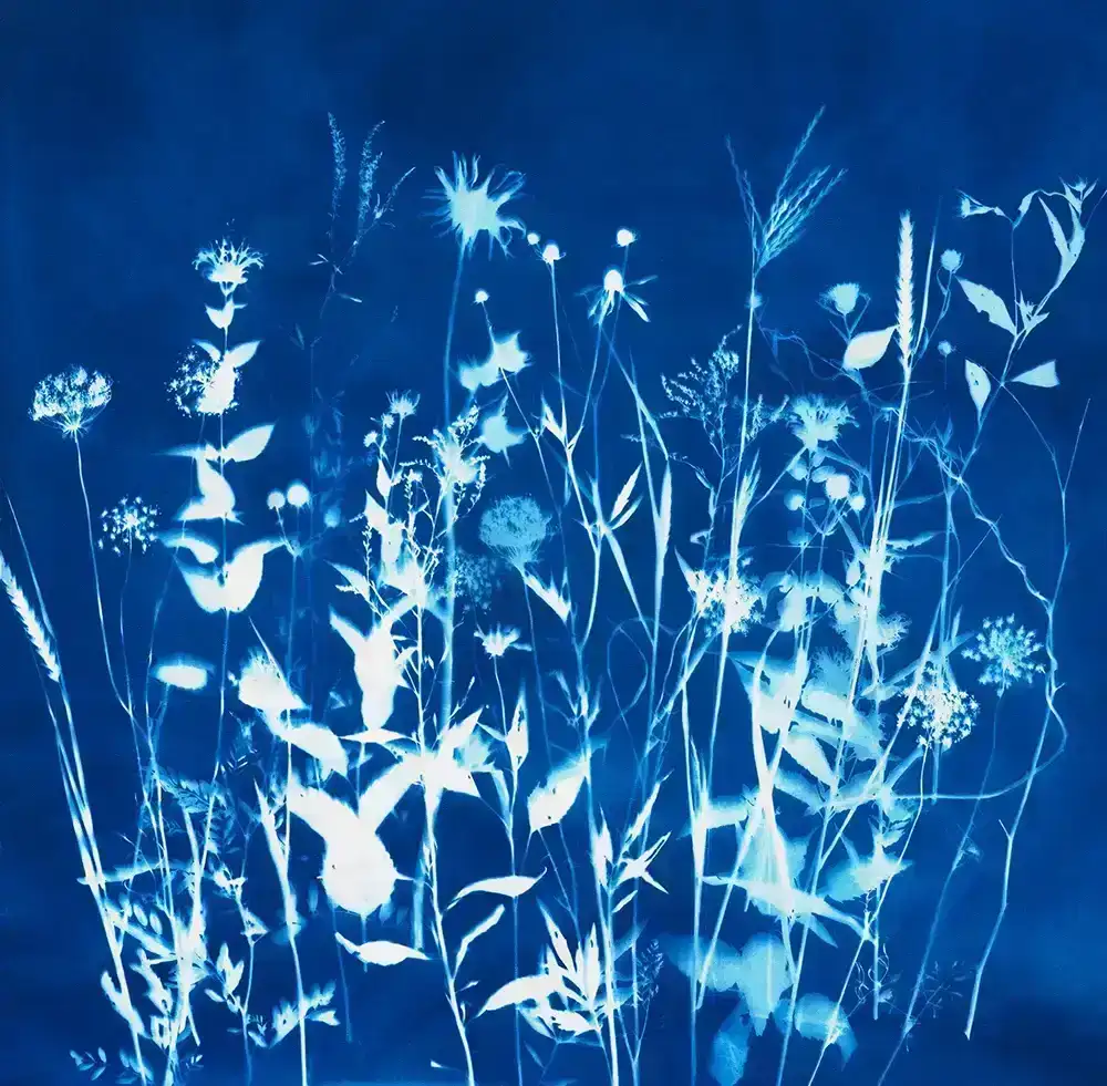 Image of Catskill Prairie