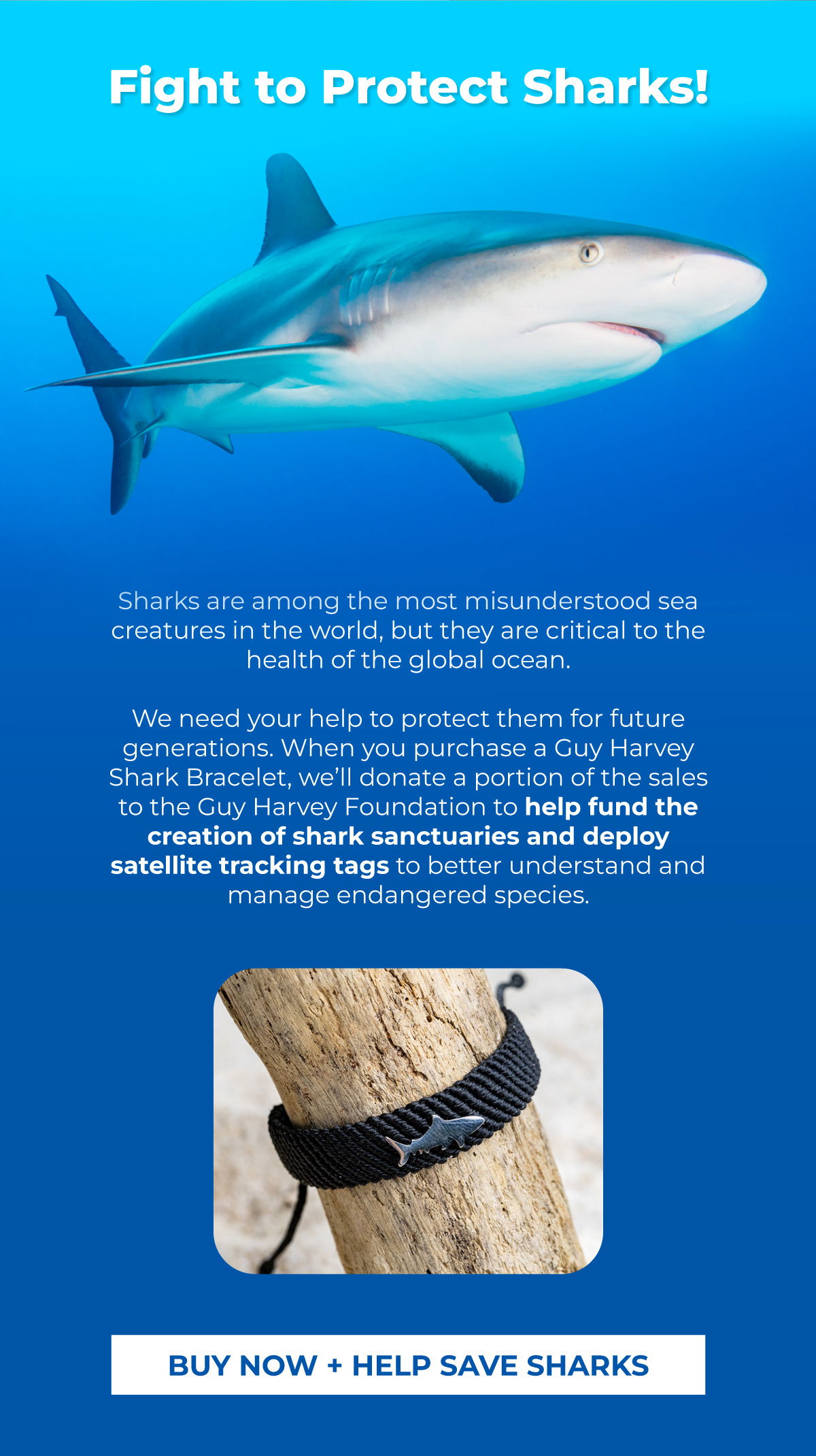 Fight to protect sharks