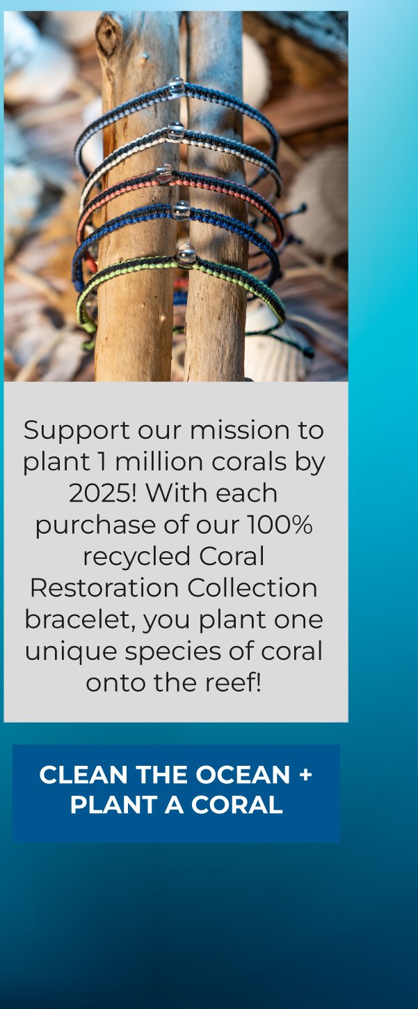 clean the ocean and plant a coral