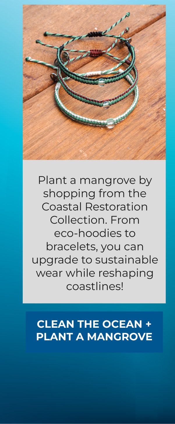 Clean the ocean and plant a mangrove