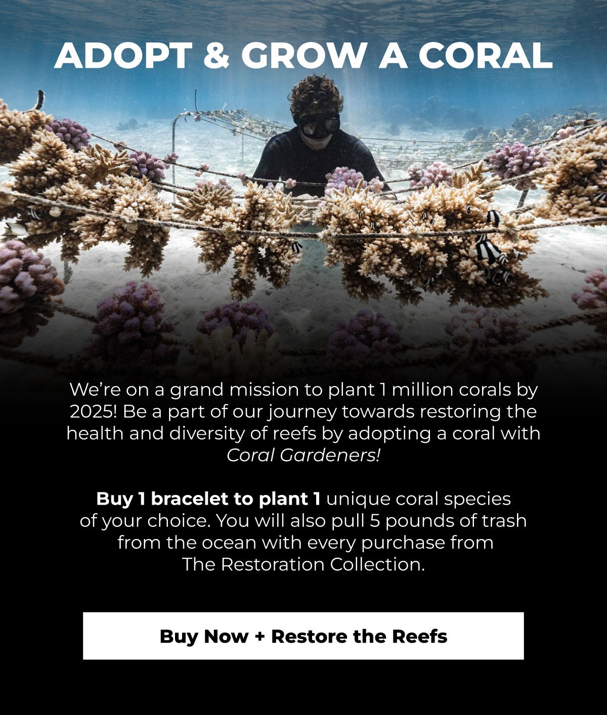 Buy Now + Restore the Reefs