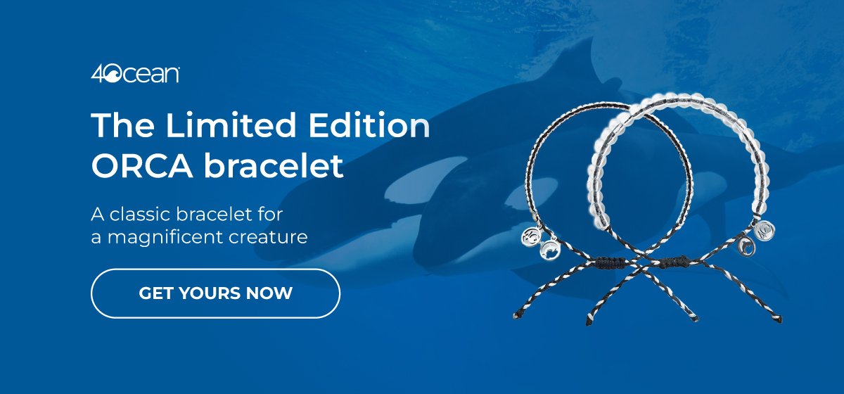 the limited edition ORCA bracelet