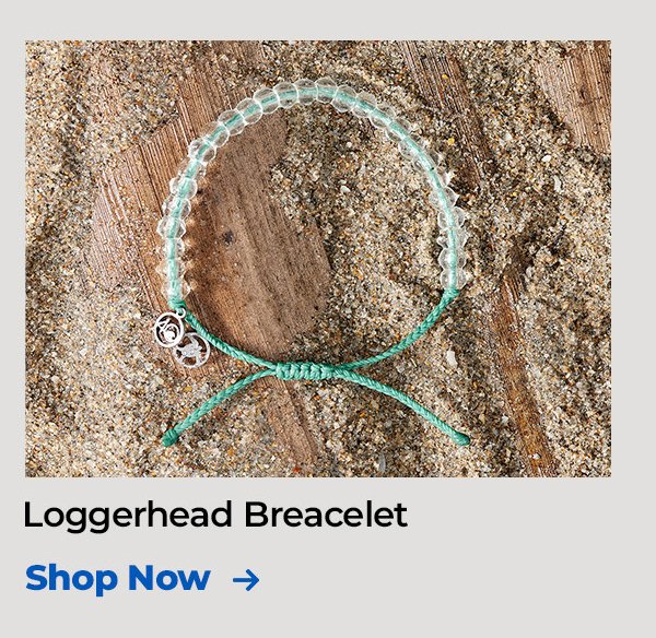 loggerhead bracelet