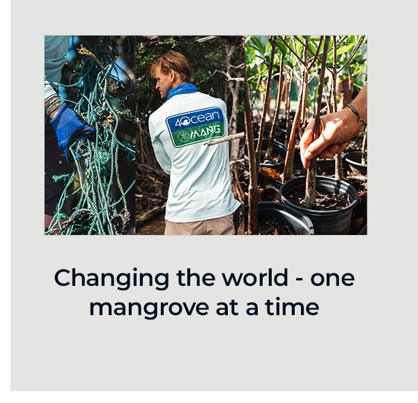 changing the world one mangrove at a time