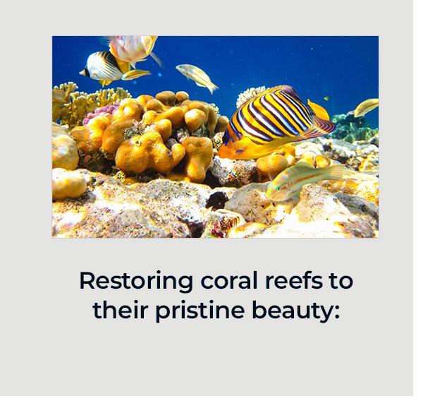 Restoring coral reefs to their pristine beauty