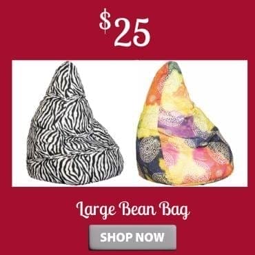 Bean bag chair with your choice of two colors at \\$25