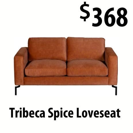 Spice loveseat at \\$368