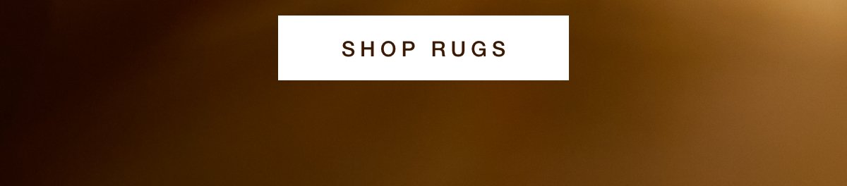 Shop Rugs