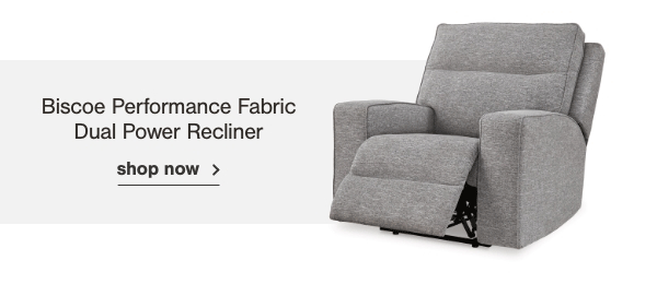 Biscoe Performance Fabric Dual Power Recliner Shop now