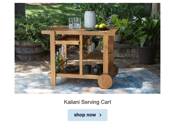 Kailani Serving Cart shop now
