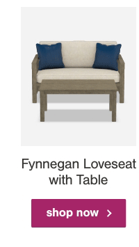 Fynnegan Loveseat with table shop now