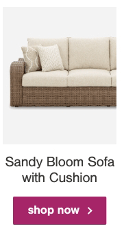 Sandy Bloom Sofa with Cushion shop now