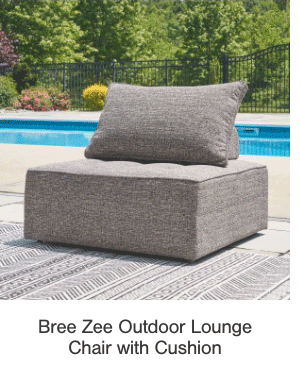 Bree Zee Outdoor Lounge Chair with Cushion