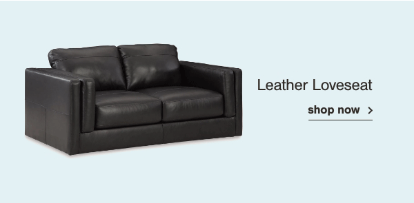 Leather Loveseat shop now
