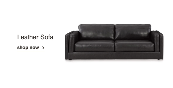 Leather sofa shop now