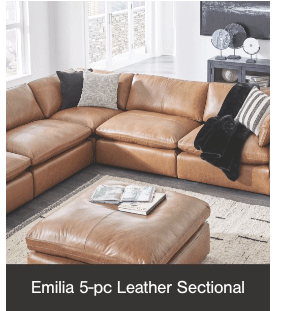 Emilia 5-pc Leather Sectional