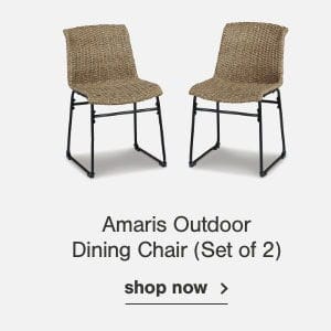 Amaris Outdoor Dining Chair (Set of 2) shop now