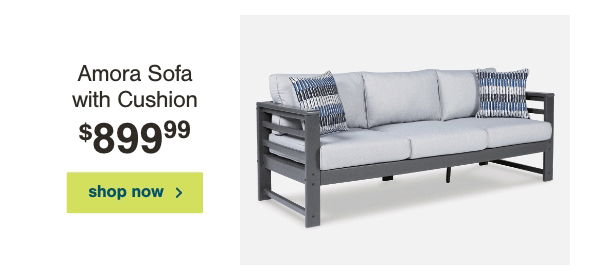 Amora Sofa with Cushion \\$899.99 shop now