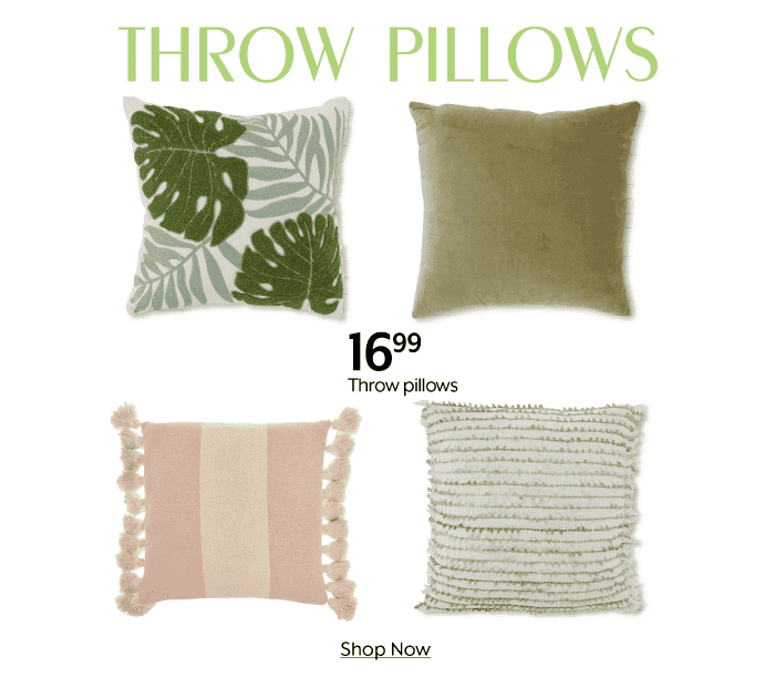16.99 Throw Pillows