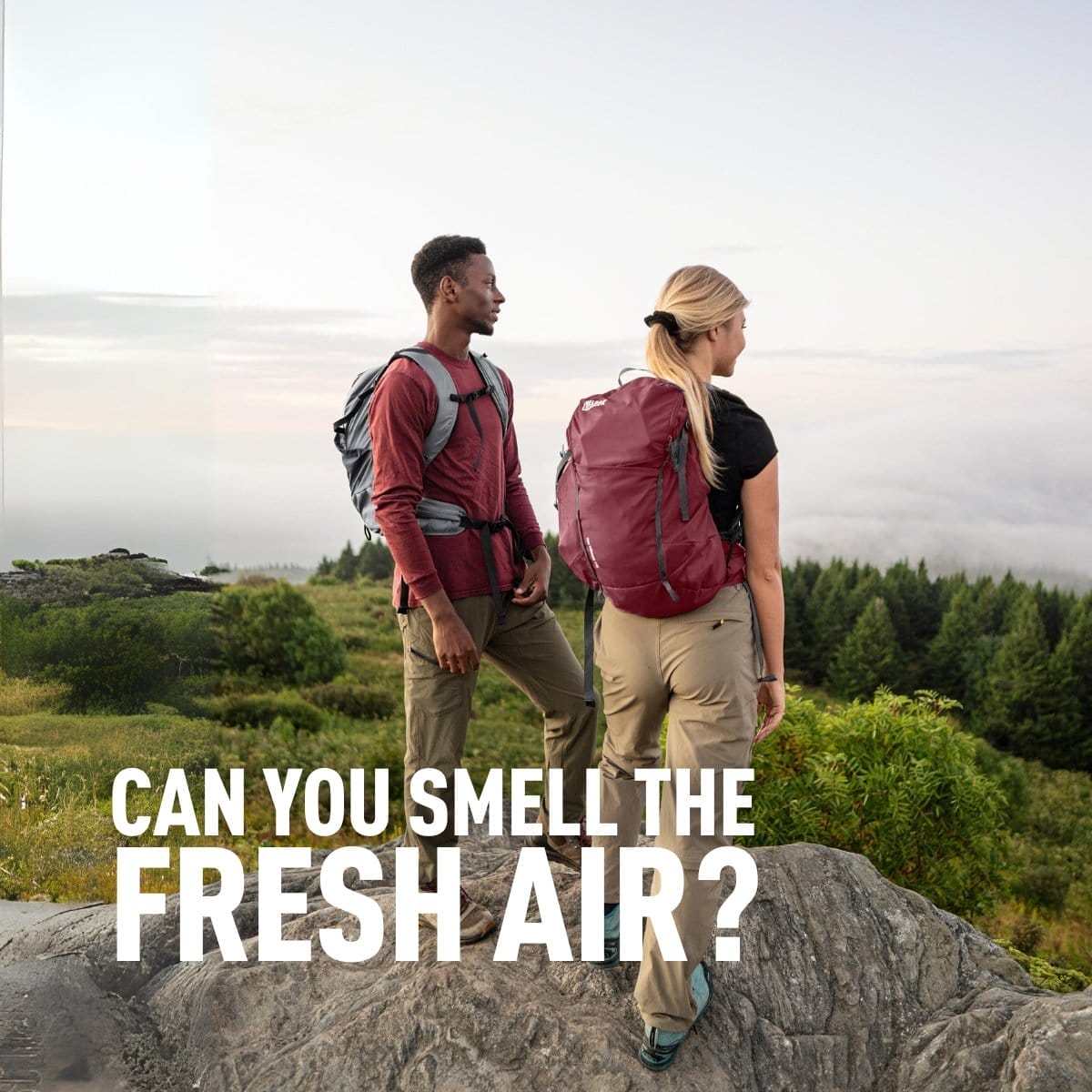 Can you smell the fresh air?