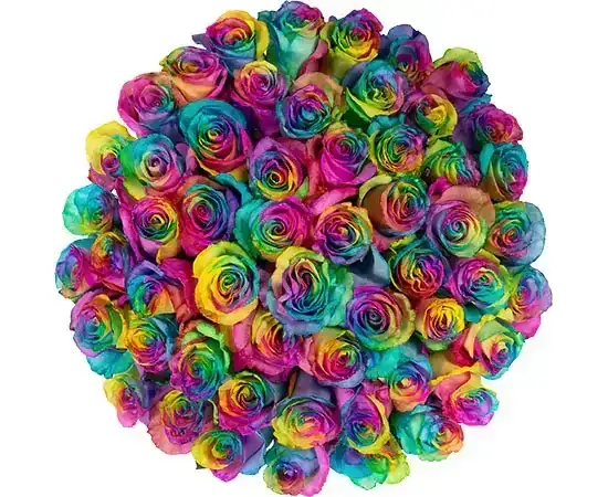 50-Stem Rainbow Roses