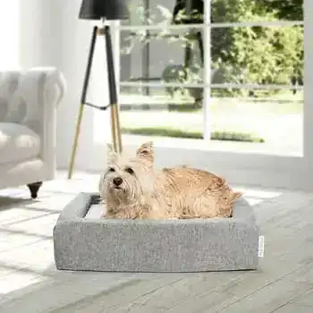 Molecule Pet Bed