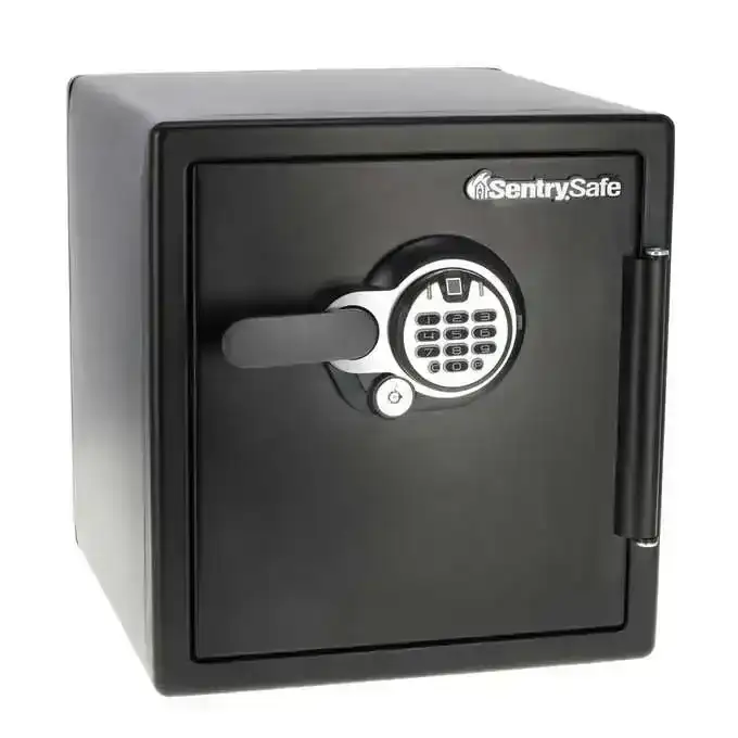 SentrySafe 1.23 cu. ft. Steel Fireproof and Waterproof Safe with Biometric Lock