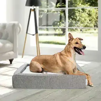 Molecule Air-engineered Dog Bed, Medium