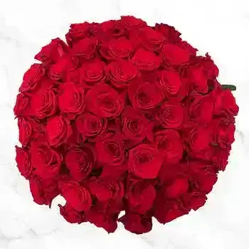 Valentine's Day 50-Stem Red Roses