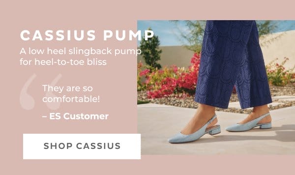 Shop Cassius