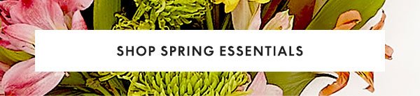 Shop Spring Essentials